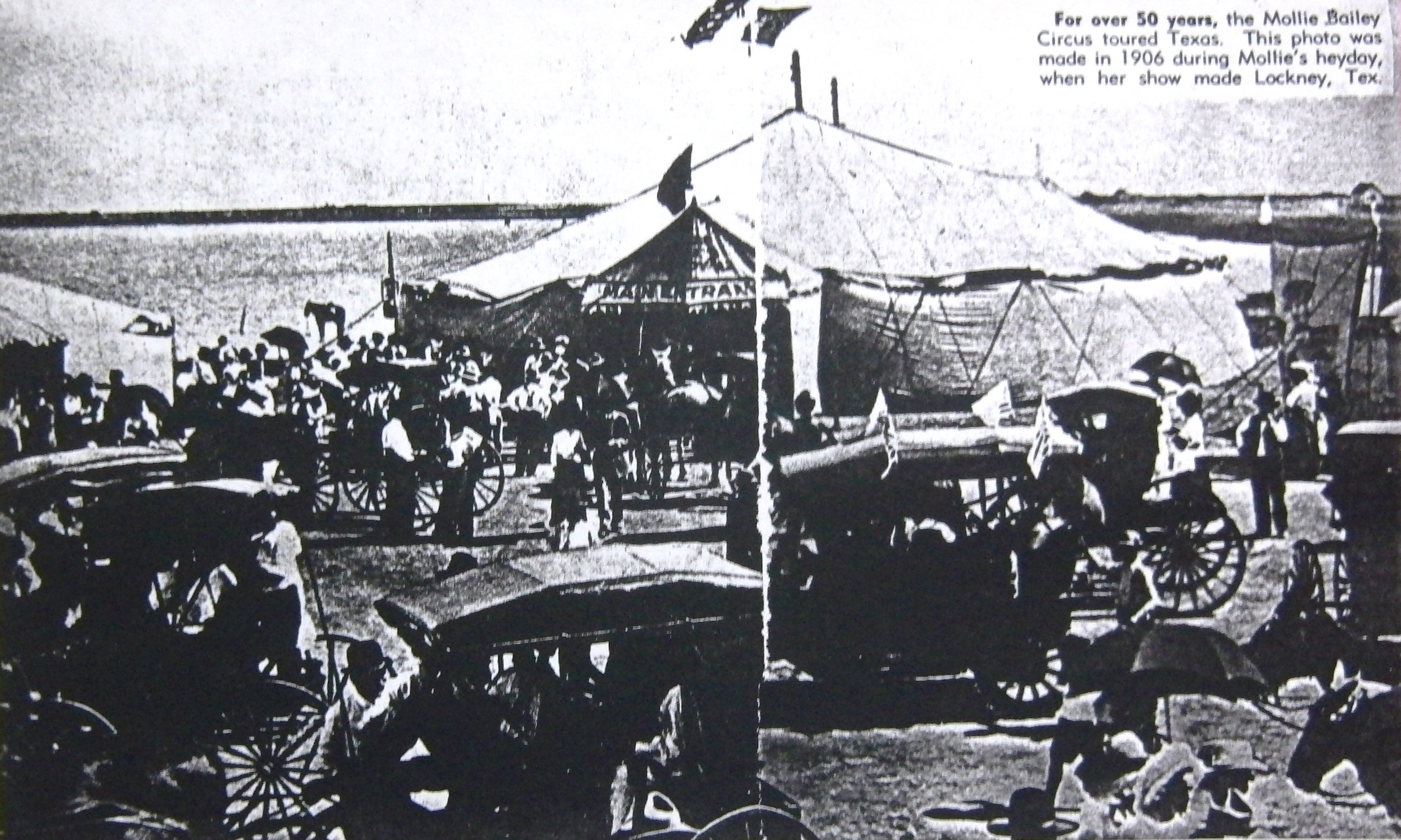 Bailey Circus in 1906