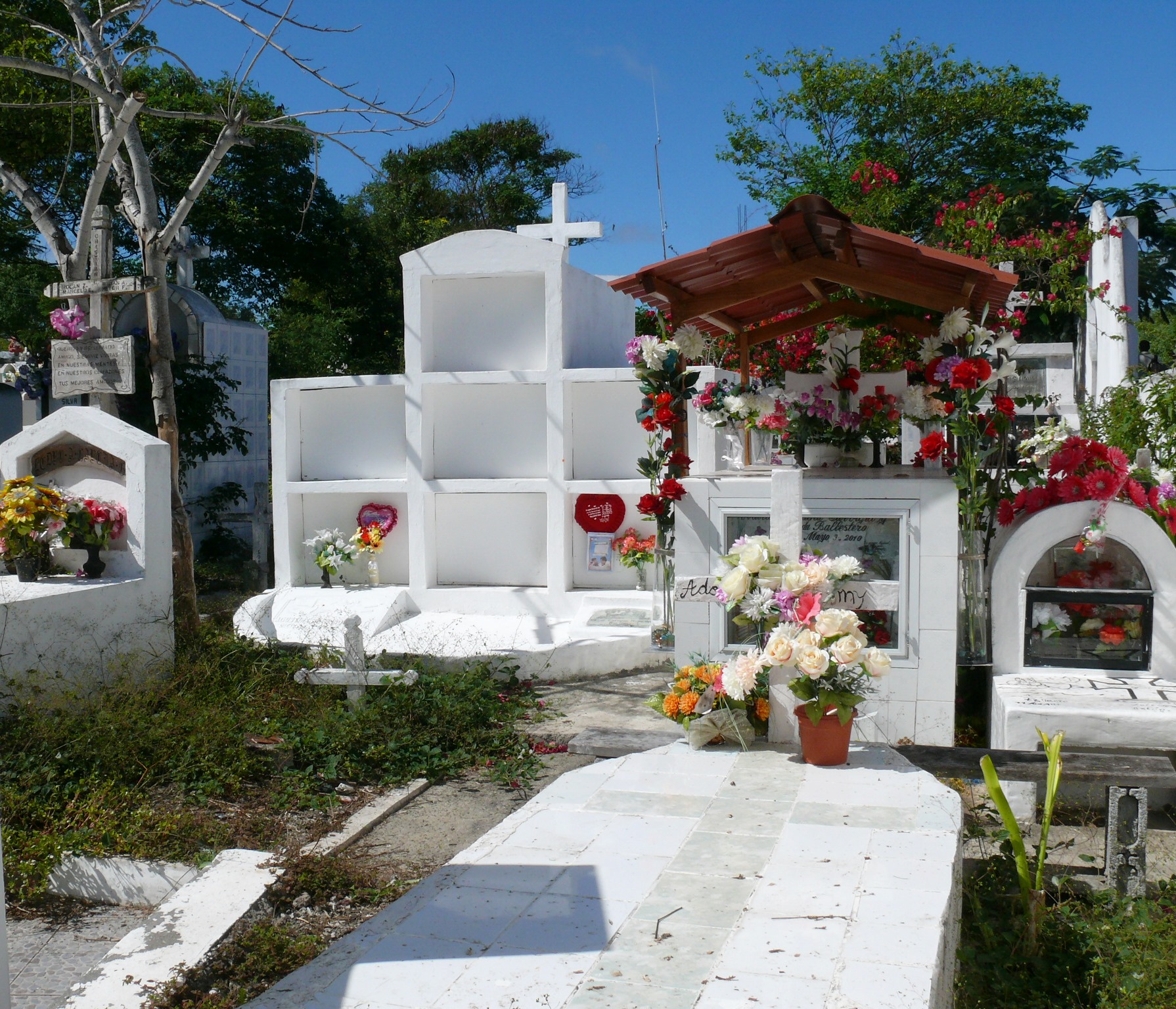 Galapagos Cemetery