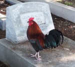 Key West Cemetery