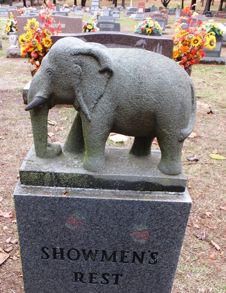 Showmens Rest Elephant
