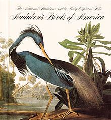 Audubon Birds of America