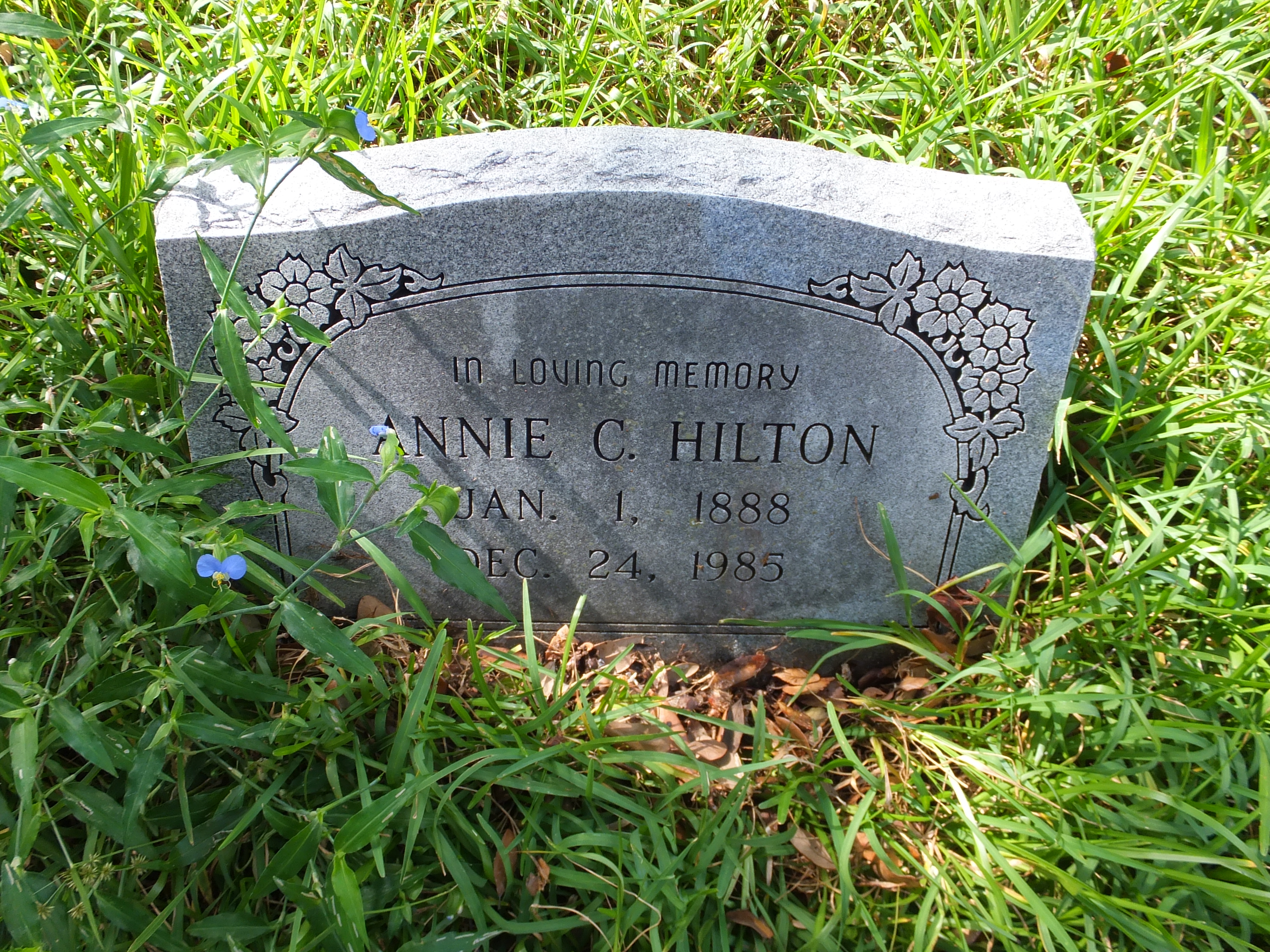 Annie C. Hilton